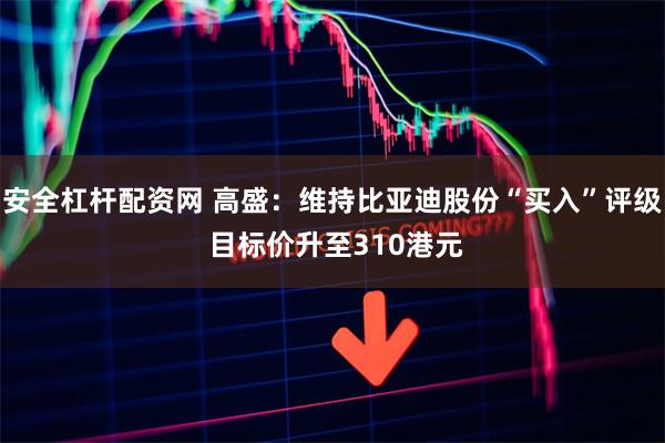 安全杠杆配资网 高盛：维持比亚迪股份“买入”评级 目标价升至310港元