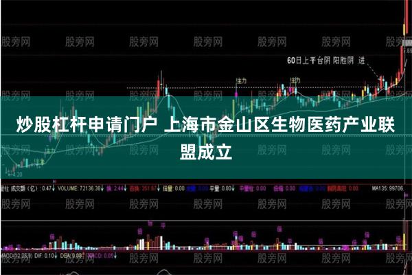 炒股杠杆申请门户 上海市金山区生物医药产业联盟成立